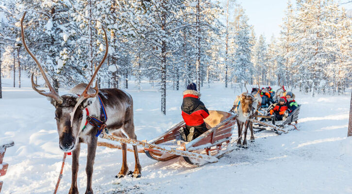 Kuzey Işıkları Lapland Turu Yılbaşı Özel