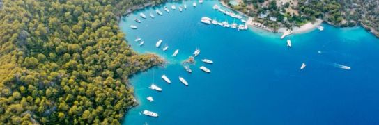 Fethiye Ölüdeniz Dalyan Gökova turu | 3 Gece Konaklamalı | İstanbul ve Bursa Hareketli